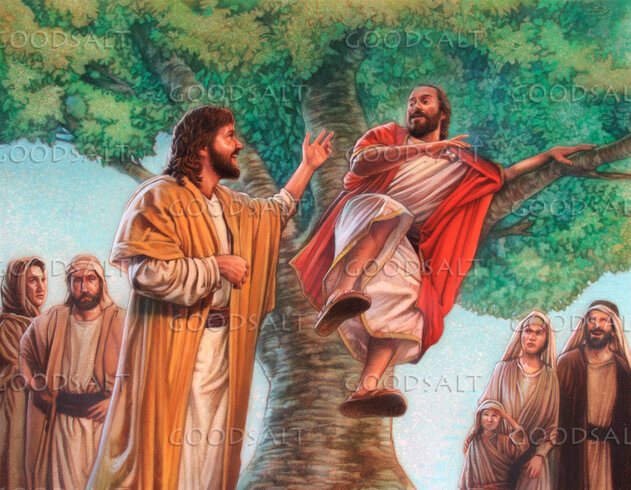 Um encontro ao pé da figueira